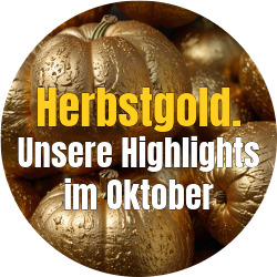 News Unsere Highlights im Oktober