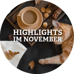 News Unsere Highlights im November