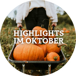 News Unsere Highlights im Oktober