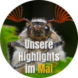 News Unsere Highlights im Mai