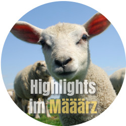 News Unsere Highlights im März